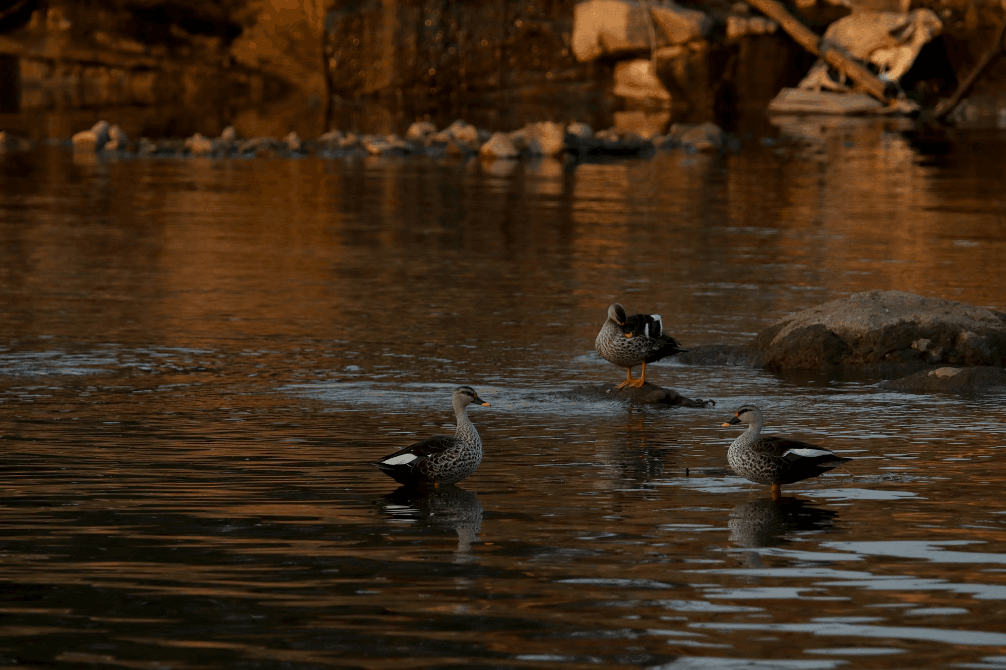 A calm dusk sky, symbolising clarity and intention